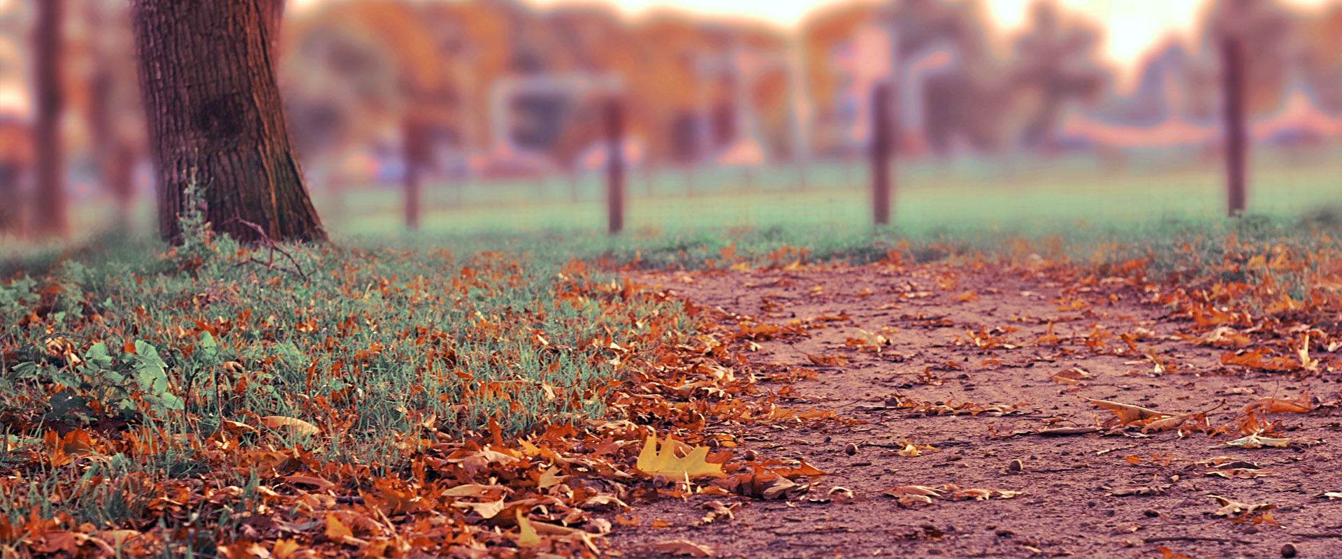 免费ddos在线攻击