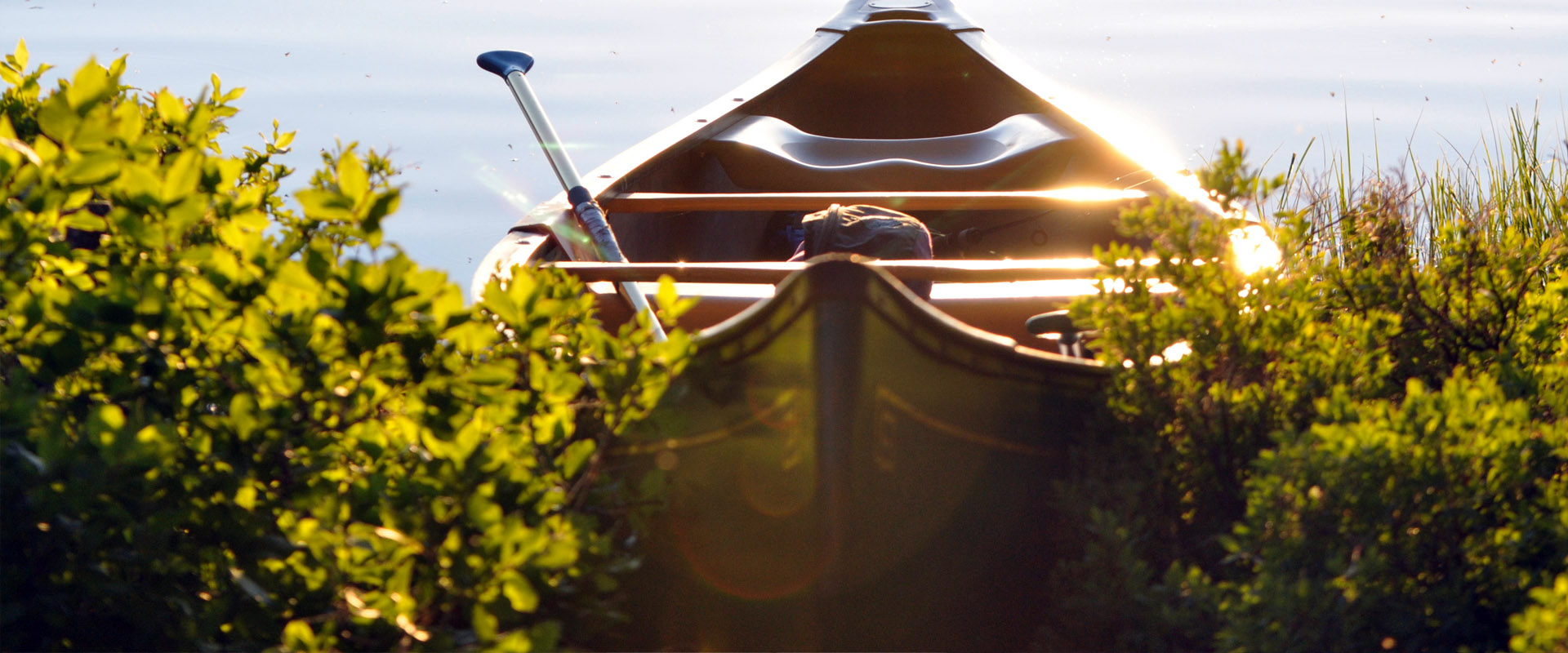 免费ddos在线攻击