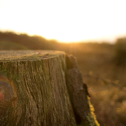 发卡网低价的网络攻击软件