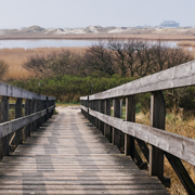 免费ddos压力测试平台