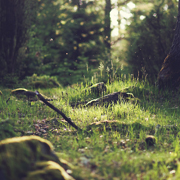 国际标准的DDOS攻击平台